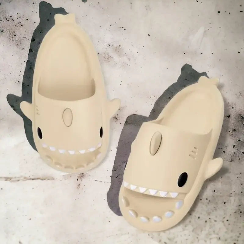 Claquettes requin